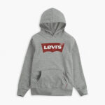 LEVI'S SCREENPRINT HOODIE ΜΠΛΟΥΖΑ ΦΟΥΤΕΡ