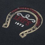 LEVI'S PULLOVER HOODIE RUFFL ΜΠΛΟΥΖΑ ΦΟΥΤΕΡ - Image 4