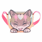 BILLIEBLUSH SHINY HANDBAG ΤΣΑΝΤΑ