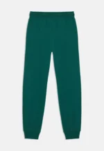 ELLESSE STASERE PANT JOGGER ΠΑΝΤΕΛΟΝΙ - Image 2