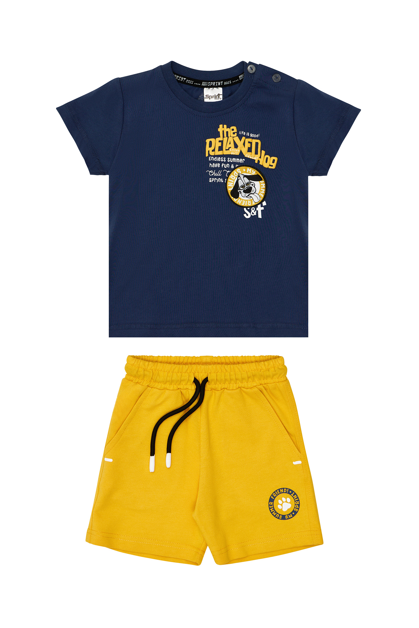 261-1028 BLUE A SPRINT SET THE RELAXED DOG - Image 1