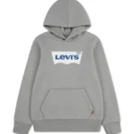 LEVI'S SCREENPRINT HOODIE GREY ΜΠΛΟΥΖΑ ΦΟΥΤΕΡ