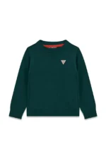 GUESS LS SWEATER CORE ΠΛΕΚΤΟ GREEN ΜΠΛΟΥΖΑ